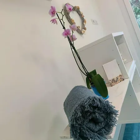 Appartement Le Sfumature Del Mare